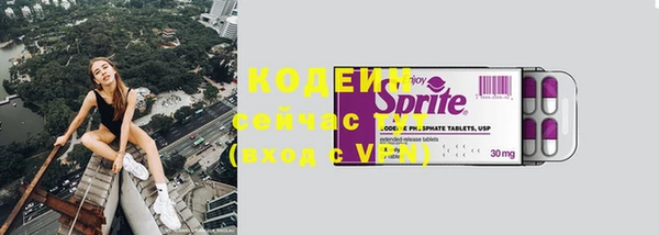 гашик Липки