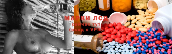 гашик Липки